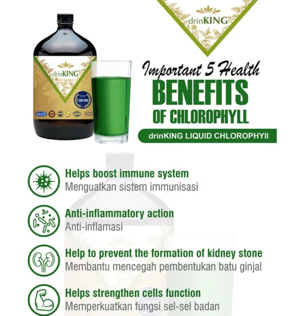 Drinking Liquid Chlorophyll 500ml 纯天然drinking紫花苜蓿叶绿素 Lazada Drinking Liquid Chlorophyll 500ml 纯天然drinking紫花苜蓿叶绿素 Lazada