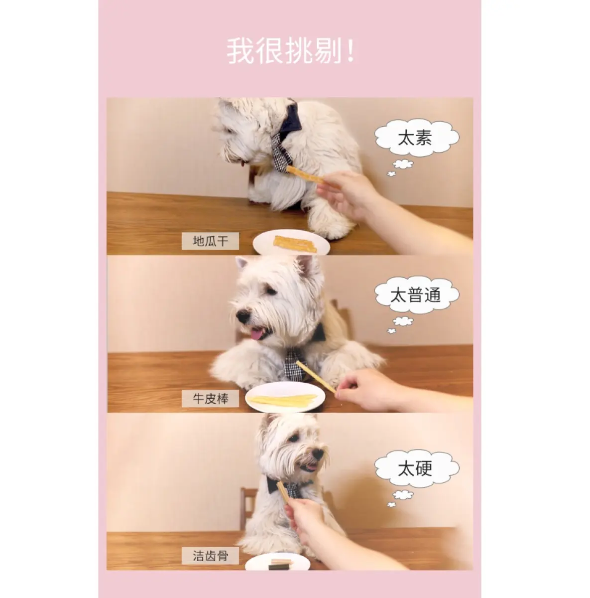 Natura Nourish 纳瑞施 Pockiss Dental Stick Pet Training Snacks Milk Beef Flavour 狗狗洁牙棒比心棒牛奶牛肉口味8 Sticks 60g Lazada