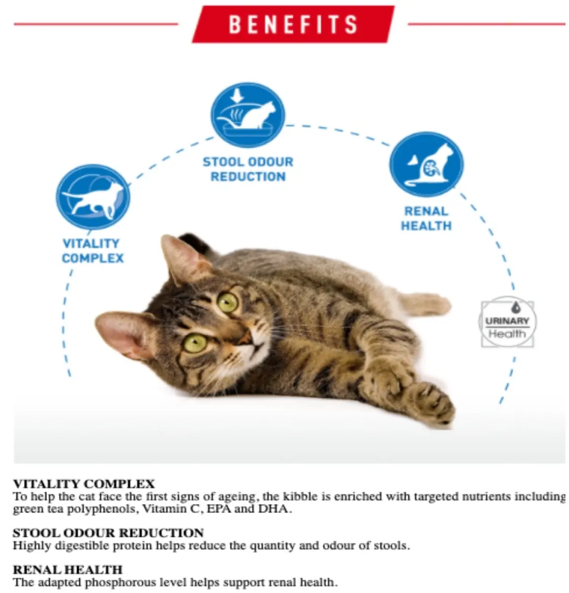 ROYAL CANIN Indoor 7+ 1.5KG Dry Cat Food/ Makanan Kucing/ Pet Food