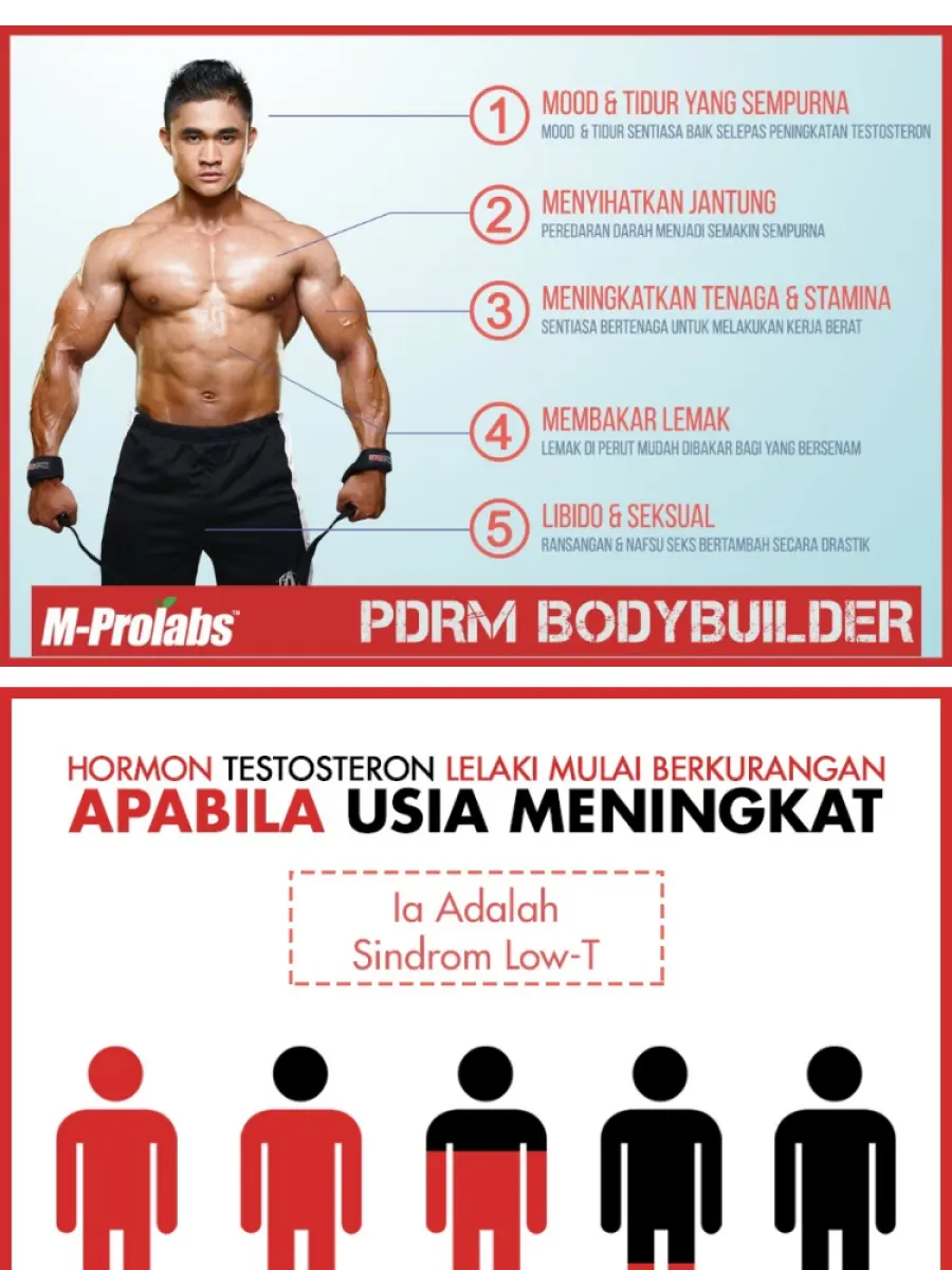 M Prolabs Alpha Men S Health Capsule 60 Capsules Tongkat Ali Tunjuk Langit Lazada