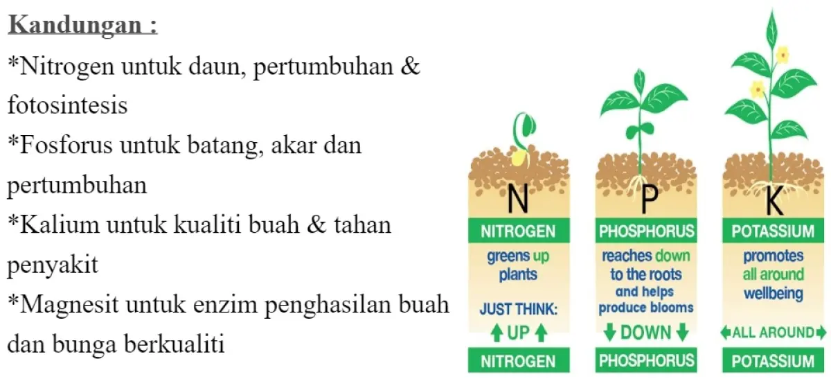 Ready Stock ] Baja Pertumbuhan NPK 15:15:15 - Baja pokok, Baja 